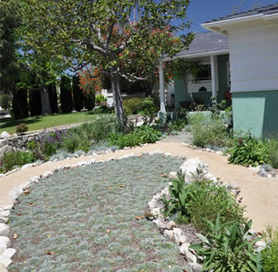Lawn Substitutes